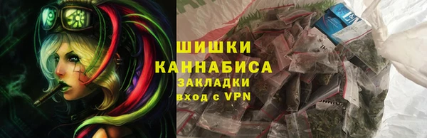 амф Ладушкин