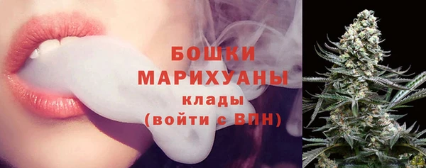прущие грибы Лабытнанги