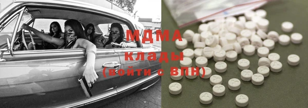 прущие грибы Лабытнанги
