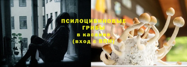 прущие грибы Лабытнанги