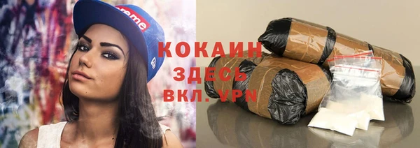 прущие грибы Лабытнанги
