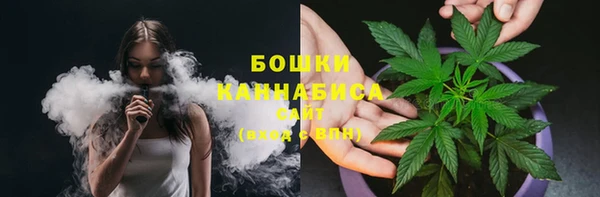амф Ладушкин