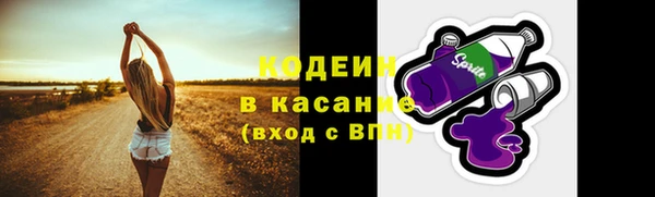 прущие грибы Лабытнанги