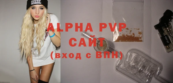прущие грибы Лабытнанги