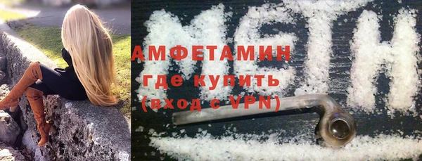 амф Ладушкин