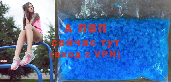прущие грибы Лабытнанги