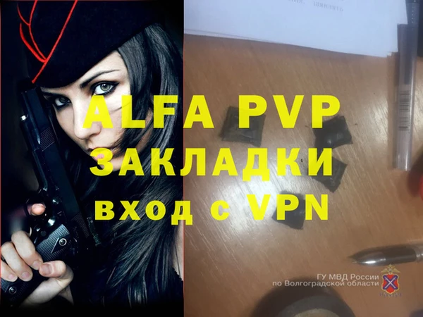 прущие грибы Лабытнанги