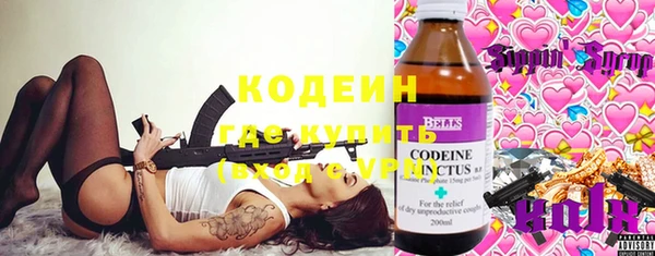 прущие грибы Лабытнанги