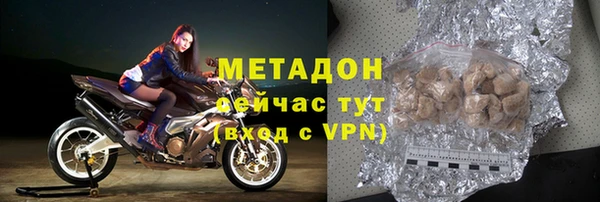прущие грибы Лабытнанги