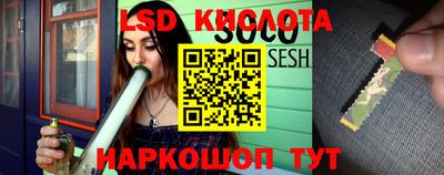 ешки Волгодонск