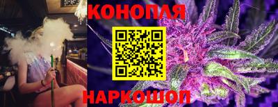 ешки Волгодонск
