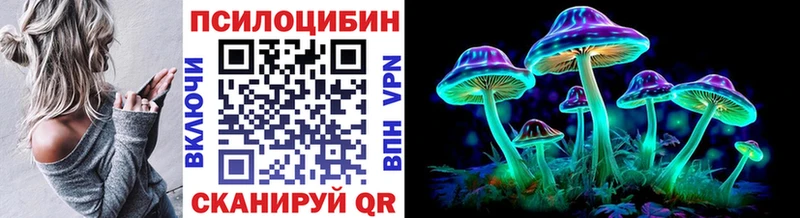 KRAKEN зеркало  Златоуст  Псилоцибиновые грибы мицелий 