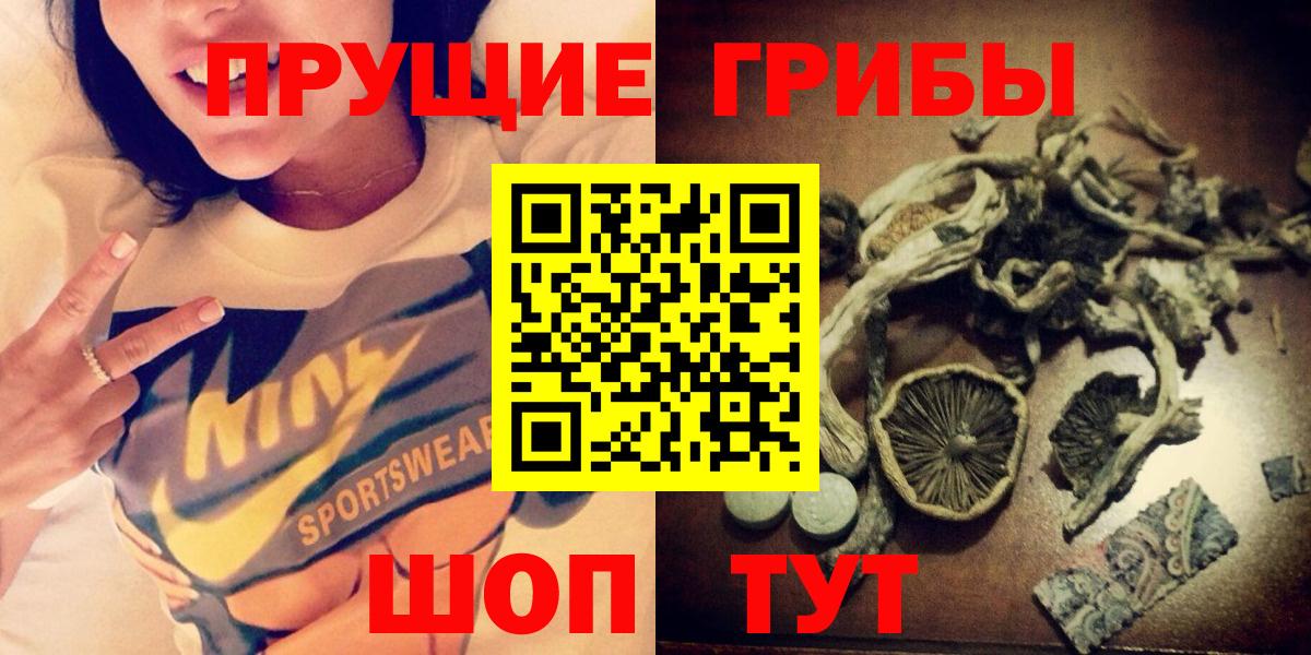 Галлюциногенные грибы Psilocybe  Златоуст  Галлюциногенные грибы Psilocybine cubensis 