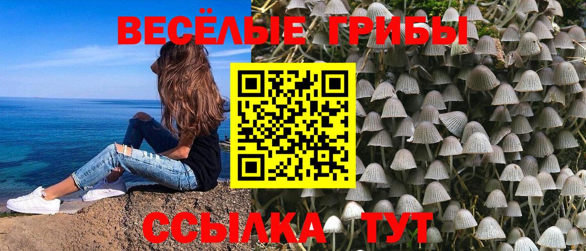 Златоуст  Галлюциногенные грибы Cubensis  Вход с VPN 
